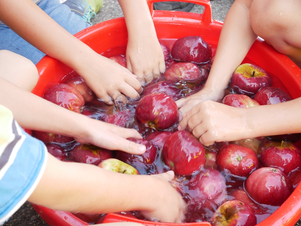 Kinderferienprogramm 2023 Apfel waschen