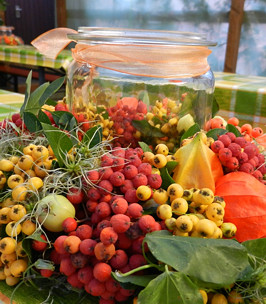 11 09 04 kelterfest02