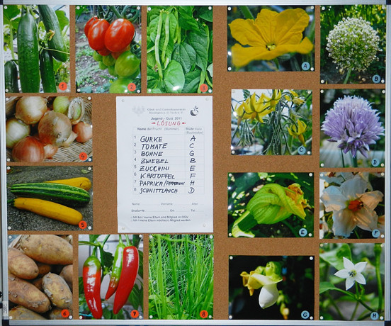 11 09 04 kelterfest03