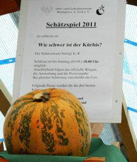 11 09 04 kelterfest04