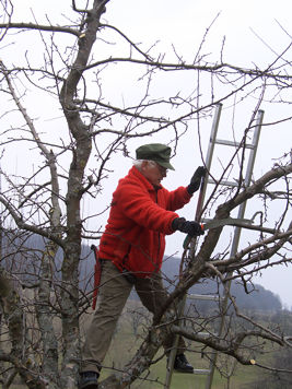 13 03 23 pflegetag02