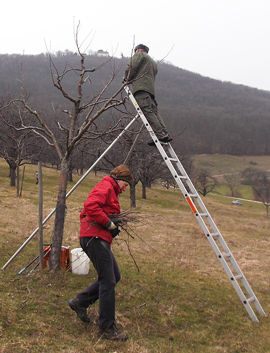 13 03 23 pflegetag03