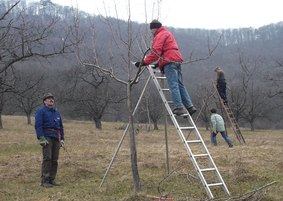 13 03 23 pflegetag07