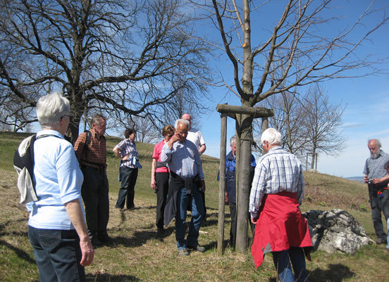 13 04 14 bluetenwanderung04