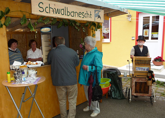 14 06 29 tog05 schwalbanescht