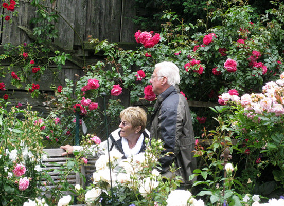 14 06 29 tog07 rosen02
