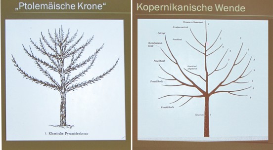 20160130 14 festvortrag obstbaumkronen