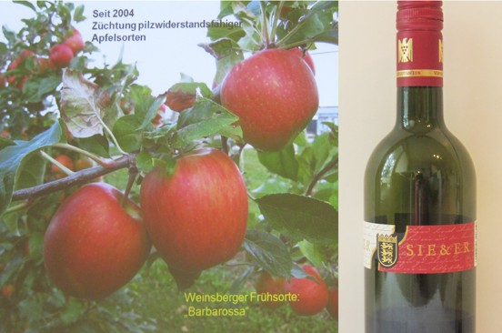 20160130 26 obst wein lvwo