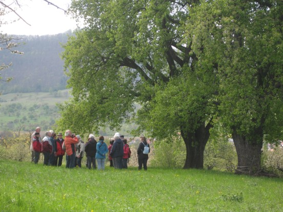 17 04 23 bluetenrundgang teilnehmer