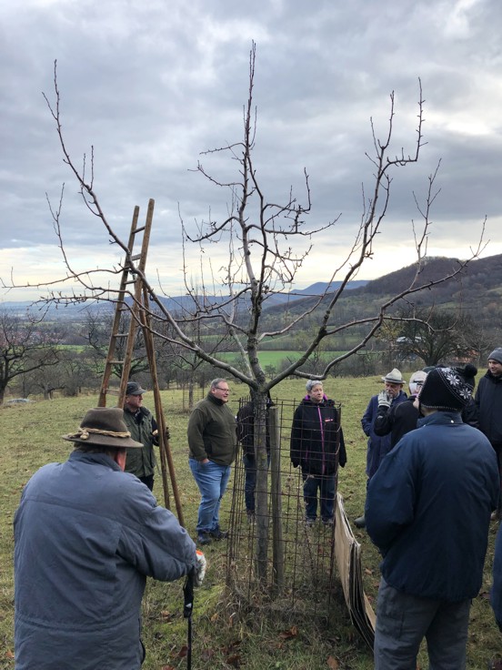 18 11 24 2besprechung oeschbergkrone