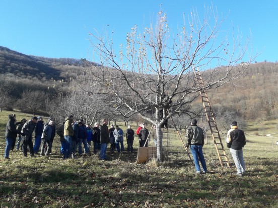 18 11 24 3boertlinger vor schnitt