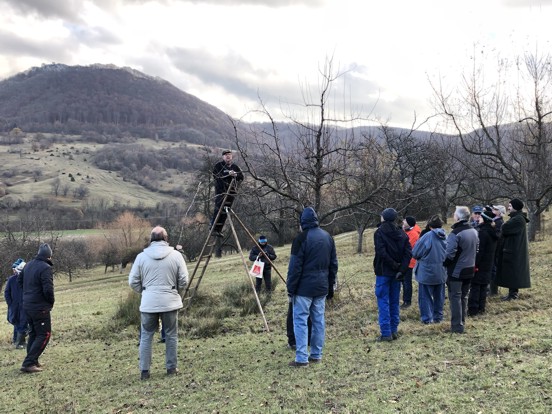 18 11 24 7bayerische weinbirne vor schnitt