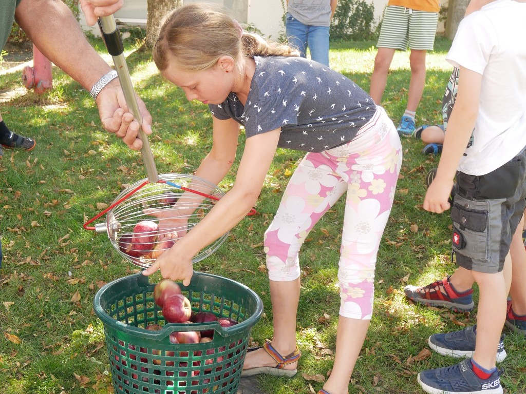 Kinderferienprogramm 2023 Rollblitz2