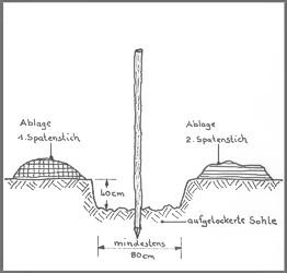 hochstammanleitung grube