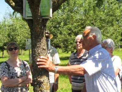 19 06 29 kirchentellinsfurt08 19 06 29 kirchentellinsfurt08