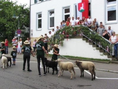 19 07 21 bissingen42 19 07 21 bissingen42