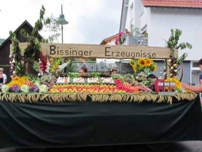 19 07 21 bissingen48